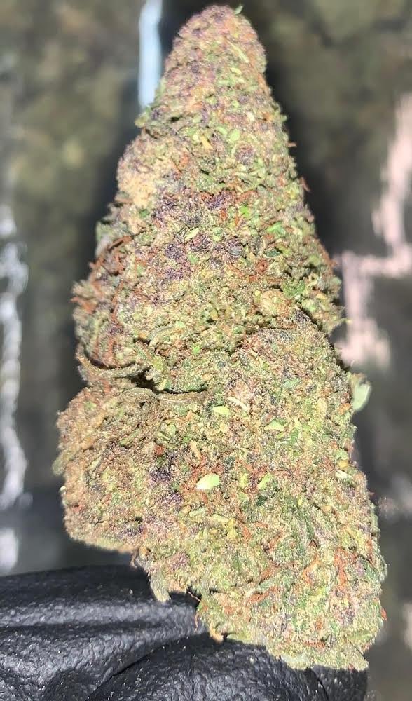 critical_39's tweet photo. Here's the GRADE A compliant Hemp Flower!

#39hemp #hemp #hempproducts #hempfarms #usahemp #hempflower #hempextracts #cbdflower #cbgflower #cbd #cbg #cbn #cbc #hempmarketplace #hempplatform #hempbrands #hempbuyers #hempwholesale https://t.co/ZHSwOECAe9