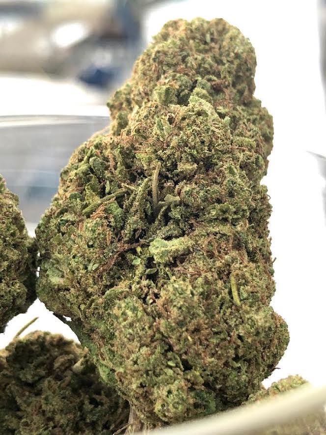 critical_39's tweet photo. Here's the GRADE A compliant Hemp Flower!

#39hemp #hemp #hempproducts #hempfarms #usahemp #hempflower #hempextracts #cbdflower #cbgflower #cbd #cbg #cbn #cbc #hempmarketplace #hempplatform #hempbrands #hempbuyers #hempwholesale https://t.co/ZHSwOECAe9