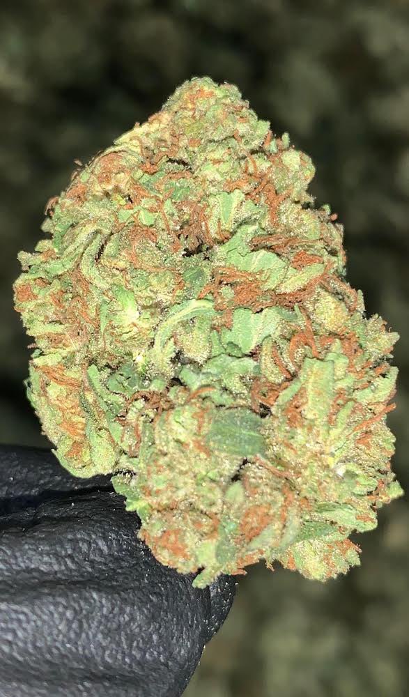 critical_39's tweet photo. Here's the GRADE A compliant Hemp Flower!

#39hemp #hemp #hempproducts #hempfarms #usahemp #hempflower #hempextracts #cbdflower #cbgflower #cbd #cbg #cbn #cbc #hempmarketplace #hempplatform #hempbrands #hempbuyers #hempwholesale https://t.co/ZHSwOECAe9