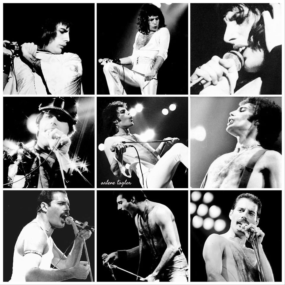 Mery_LovesFredd's tweet photo. @Nina201710 @gott_julie @OIQFC @QueenieOfNorway @_merina__ @violetnyanco @freddiequeenluv @rogbrijohnfred4 @yeon_Queen1233 @misfeller @shoko615 @risudayon @freddie_addict @ugt7fmCbU9EdwvK Every day is Freddie´s day!!💞💞 https://t.co/2qPH4KwdR6