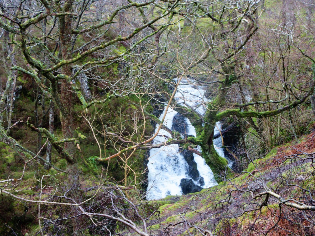 StanLeigh18's tweet photo. #Lodore #Watendlath #Rosthwaite walk today - quite a few out in cloudy/wet conditions
#LodoreFalls - upper section
#WatendlathBeck with #EtherKnott &amp; #Skiddaw in view
#WatendlathTarn with #GreatCrag beyond 
#Rosthwaite with #EagleCrag beyond https://t.co/T0AbCv6CJn