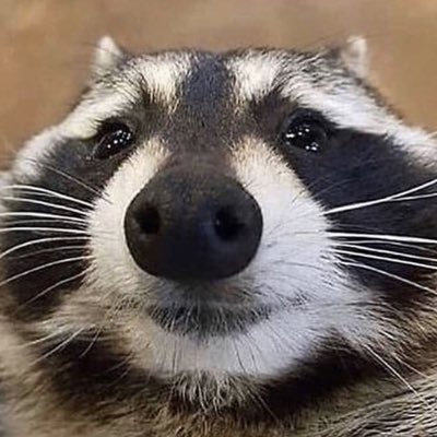 5zds_'s tweet photo. #NewProfilePic https://t.co/K5dHYcIZvU