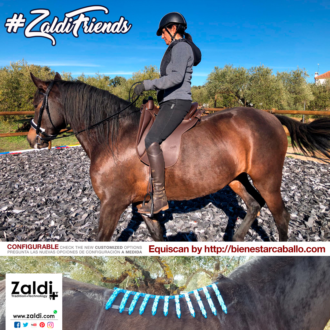 Zaldihipica's tweet photo. Hoy en #ZaldiFriends tenemos a Erika con su yegua ALMA y su silla Zaldi New Trades; una silla especialmente fabricada a medida por #Zaldi según las mediciones #Equiscan de Susanne Nagel de https://t.co/5utg2WS00u
Info silla https://t.co/JrJ1nHYBAq
#11M https://t.co/9S2XlwW7NG