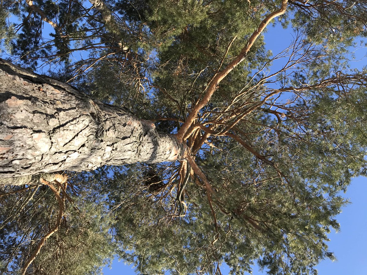 AlbertCollege's tweet photo. The Eco-Venture 'A' Day helps students focus on active citizenship in nature &amp; learn about the natural world. Students recently visited the Vanderwater Conservation Area hiking trails and Carson's Garden and Market as part of this 'A' Day. #EveryStudentIsAnAStudent https://t.co/KlMJlg8mSA