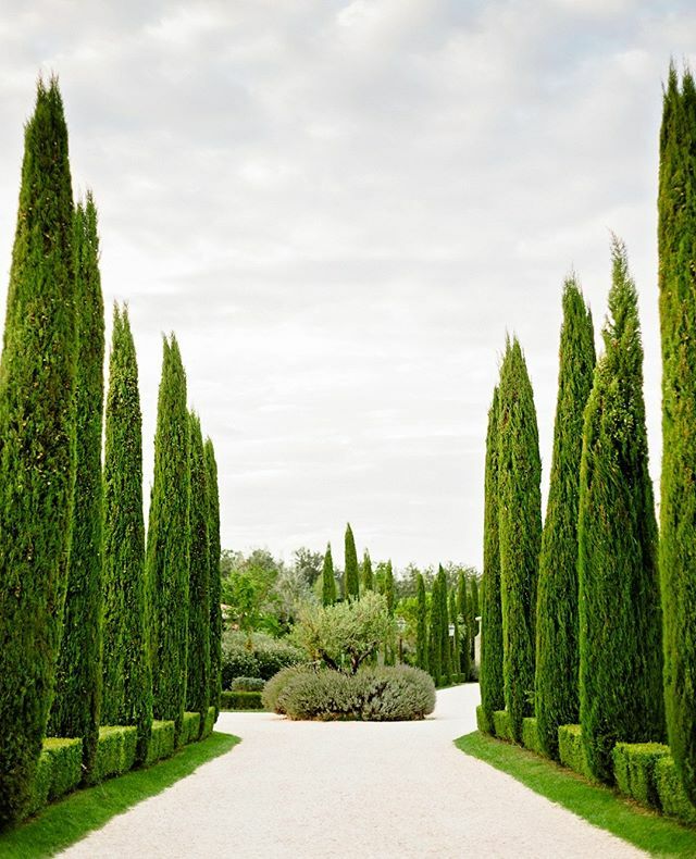 "i will no longer ⁠
compare my path to others⁠
⁠
- i refuse to do a disservice to my life"⁠
⁠
Beautiful words from the inspirational poet <a href="/rupikaur_/">rupi kaur</a> 💚⁠ ift.tt/2Q7O5Bc