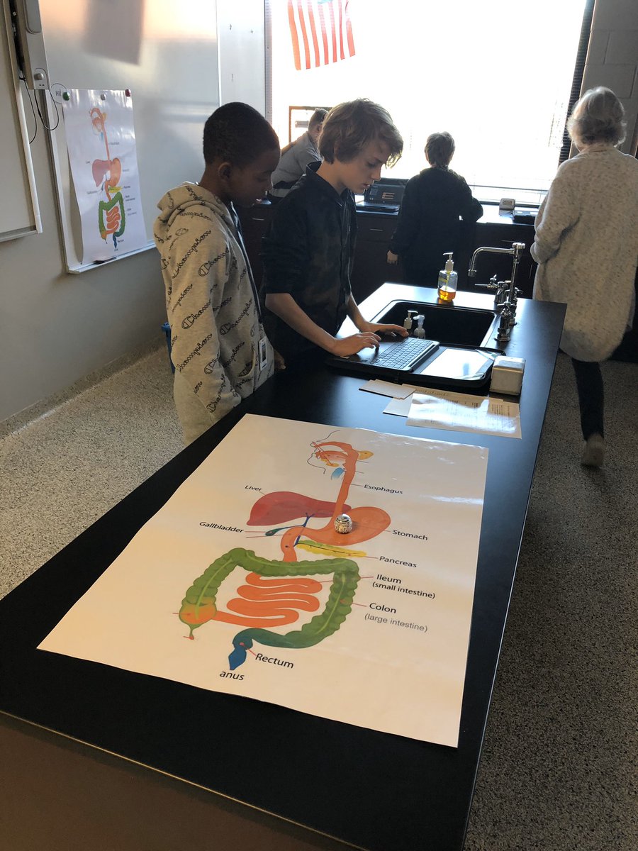 ChapinMiddle's tweet image. 7th grade science students are using Ozobots for their introduction to the digestive system.  The challenge is to connect the Ozobots actions with the process of each organ as it “passes” through the Primary Digestive System!#cmsscience #ourDISrocks #pridein5 #lexrich5schools