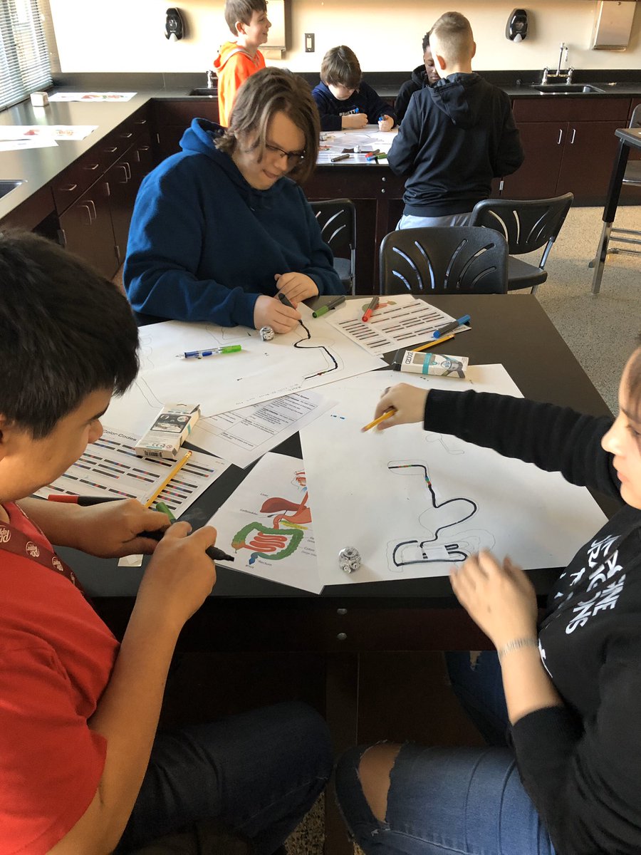 ChapinMiddle's tweet image. 7th grade science students are using Ozobots for their introduction to the digestive system.  The challenge is to connect the Ozobots actions with the process of each organ as it “passes” through the Primary Digestive System!#cmsscience #ourDISrocks #pridein5 #lexrich5schools