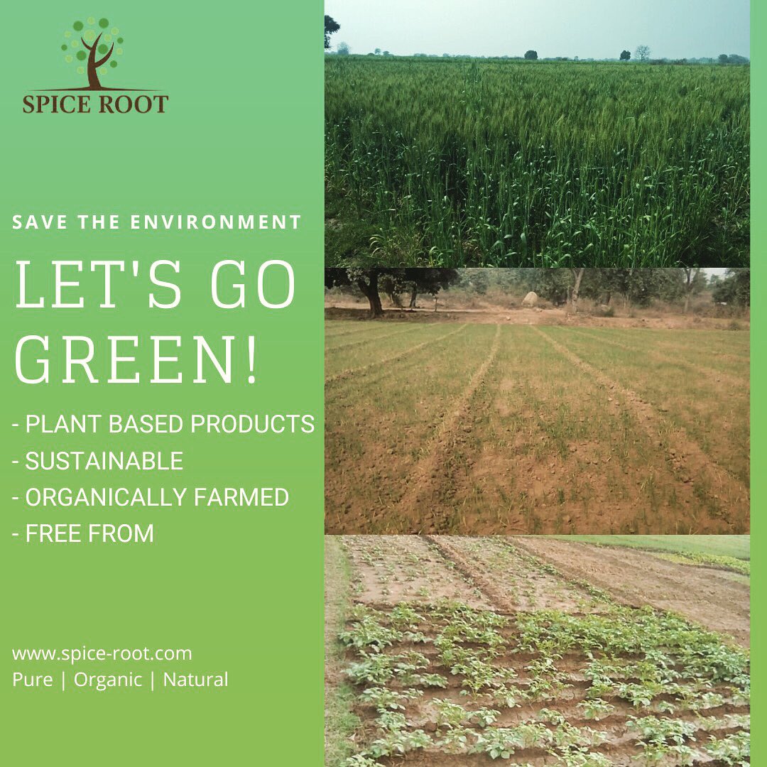 the_spice_root's tweet photo. The carbon footprint of a vegetarian diet is about half that of a meat lovers diet.Switching from a meat based diet to a plant based diet reduces water and land use,lowers pollution,lowers deforestation &amp; reduces destruction of topsoil
#organic #plantbased #Sustainability #health https://t.co/zqDLG2Bx3P