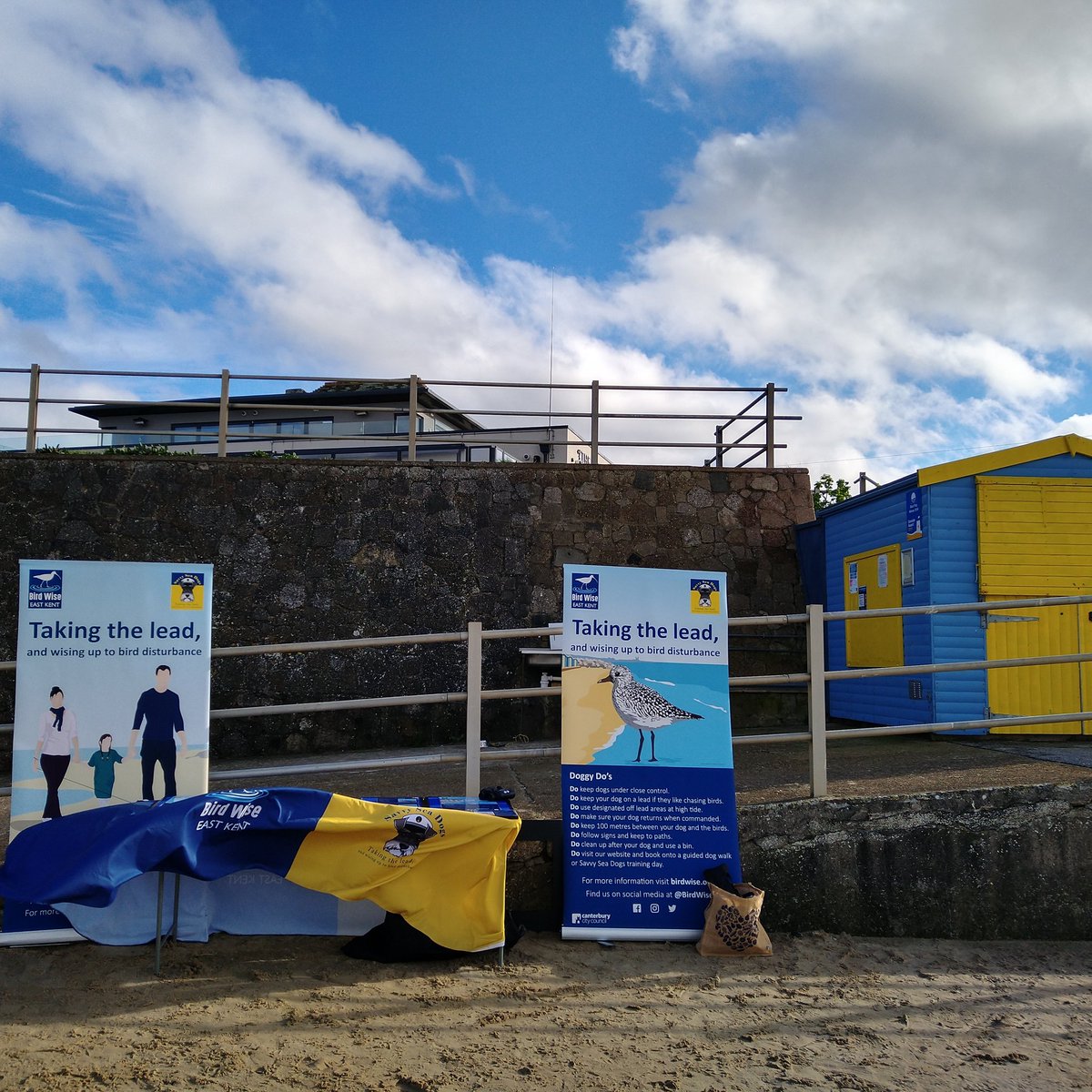 BirdWiseEK's tweet photo. Pit Stop 4 complete at Minnis Bay. Great to meet some of the volunteers from #guardiansofthedeep @ThanetCoastProj and 27 #BirdWise @SavvySeaDogs today https://t.co/hRmSLiLZJj