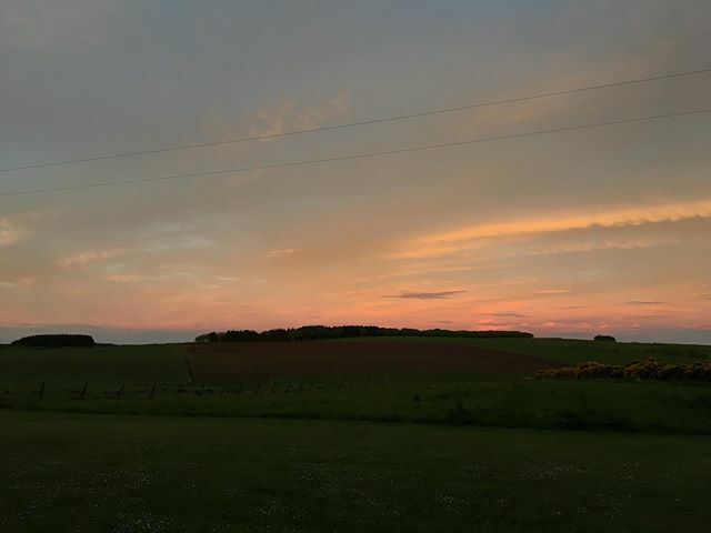 MissTweetsALlot's tweet photo. Have I mentioned that I love a good sunset? 😇
•
•
•
#scotland #landscape #sunset #photography #photographer #shotoniphone #background #colour #green #nature #earth #uk https://t.co/LH8BQtNtPy https://t.co/eirSCYb9AI