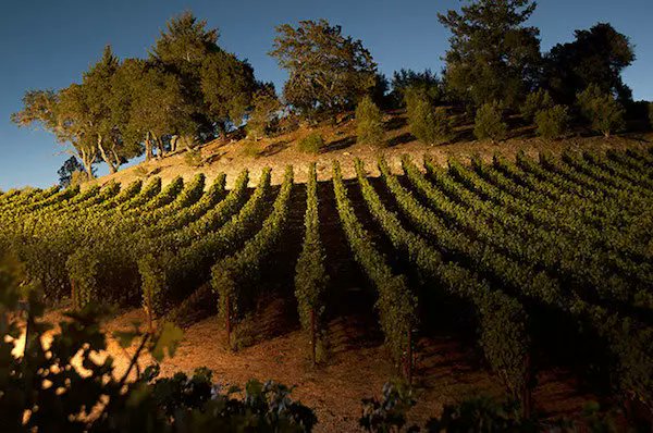 The wineries of St. Helena are waiting to welcome you for a wine tasting experience in #NapaValley. 

Find out more about <a href="/HALLWines/">HALL Wines</a>, <a href="/Merryvale/">Merryvale Vineyards</a> Vineyards, <a href="/SpottswoodeWine/">Spottswoode</a>, &amp; <a href="/charleskrugwine/">Charles Krug Winery</a>: bit.ly/BWTStHWine

Start building your tour online here: bit.ly/BWTReserve