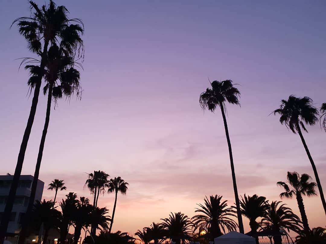 _SolLanzarote's tweet photo. Magical evenings in Lanzarote. 🌴 #SolByMelia  Photo by: katia_michels https://t.co/TA75lGkJBa