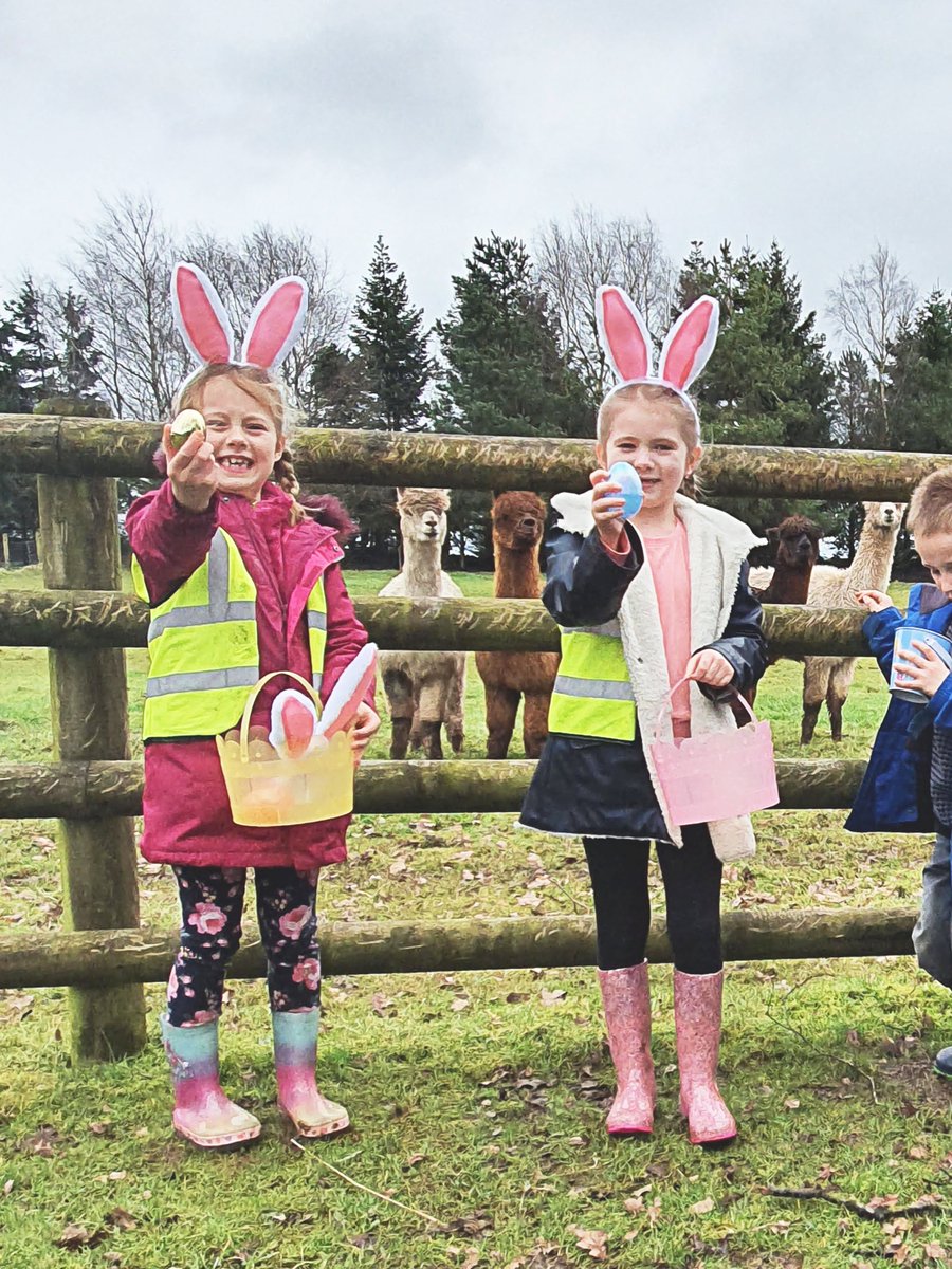 GreatGroundsEd's tweet photo. We had a few visitors up at our @GGVenues trying out the #Easter Egg hunt. I think that I can spot a golden egg too!
What a #healthy way to spend the day in the fresh air. We also had special guest @RiannaPhillips visit us. What a day😀#BookEarly #SchoolHolidays https://t.co/DOZC4D78A3