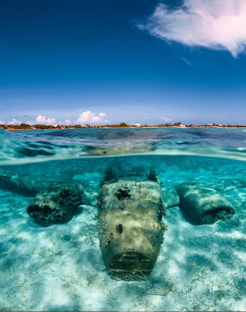 StanielAir's tweet photo. Sunken Treasures, swimming pigs, Black Rock Iguana, Sharks you can pet. Skip the airports - fly by private plane and see it all for yourself! Call +1 954-900-2739 or 561-419-5330 to find out more
#stanielair #stanielrental @KarmaCandy #stanielcay #daytour #karmacandy https://t.co/gD21yk62gP