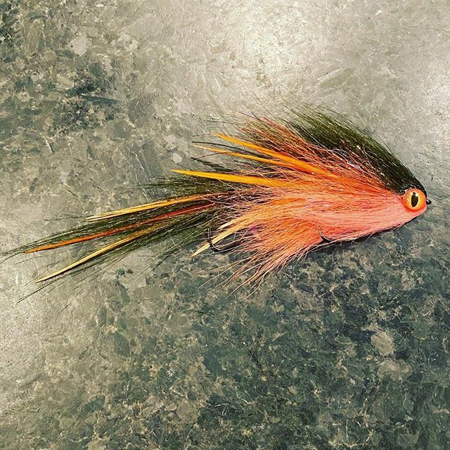 FlymenFishingCo's tweet photo. 📷: @whiskeyriverstreamers topping off this bucktail streamer with some #SurfaceSeducer Dragon Eyes
.
.
.
#flytying #tyingflies #flugbindning #fluebinding #montajedemoscas #flymenfishingco #streamerjunkie #streamerfishing #articulationnation #gamechan… https://t.co/juThVzxPUC https://t.co/bbzYFB3g0h