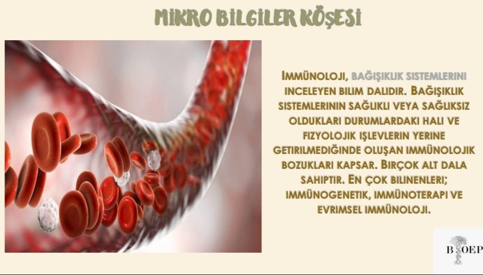 BioengPress's tweet photo. Mikro Bilgiler Köşesinde bugün.
#Immunology #bioengpress #microinformation https://t.co/kusOp7XJWn