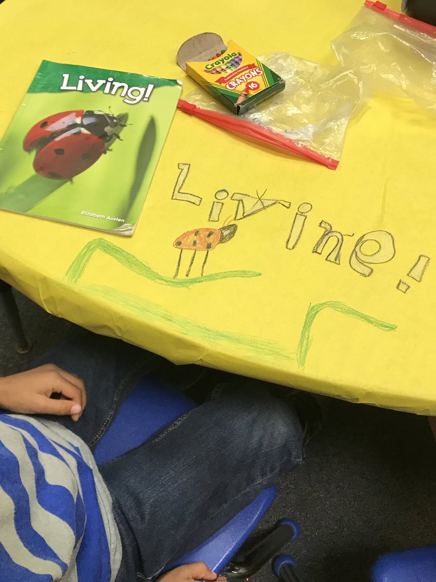 This amazing kinder illustrated his favorite part of his book on the tablecloth for a unique book sharing opportunity. 🐞❤️🐞 #dontmakemeleave #luckykiddos #amazingteacher #balancedliteracyprogram <a href="/AshliCrosby20/">Ashli Crosby</a> <a href="/GlyndaleElemen1/">Glyndale Elementary</a>