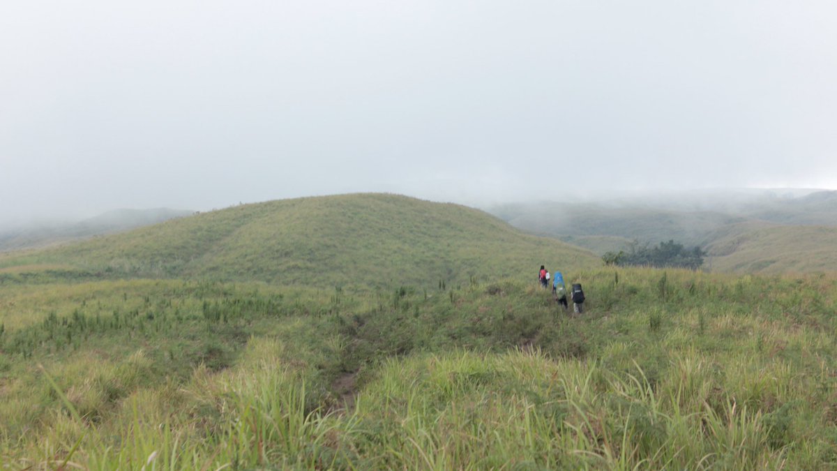 Seperti butuh hiburan