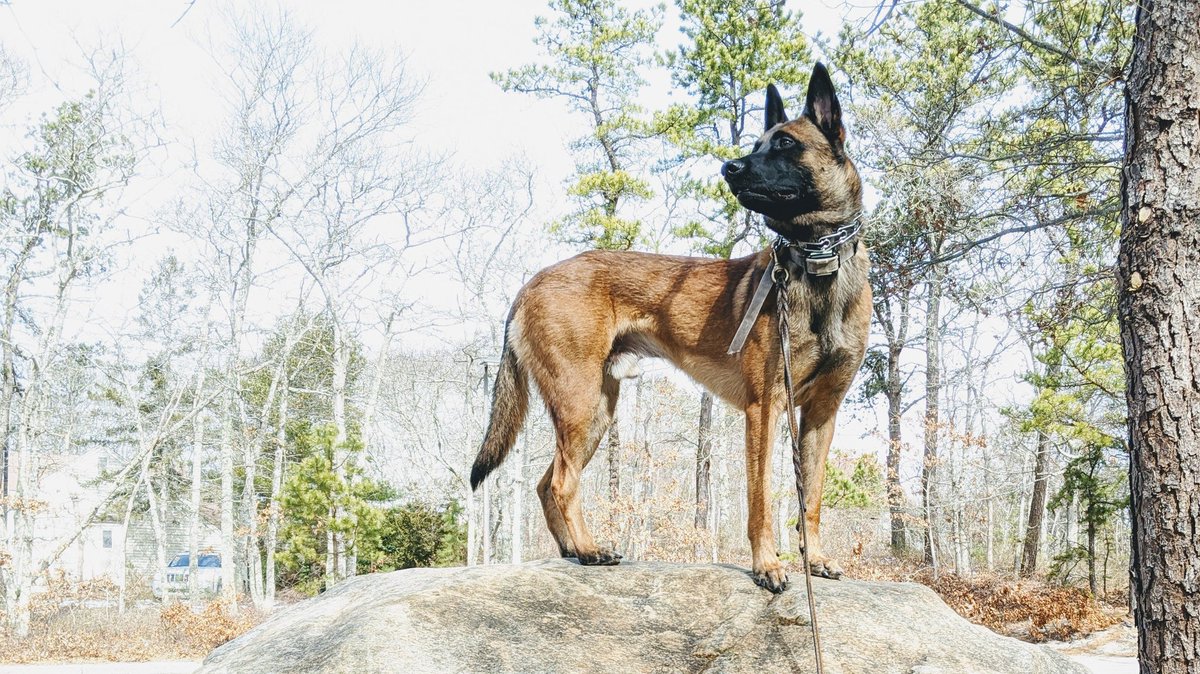 Erin Jarvis tweet media