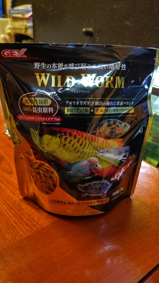 gonzo0318's tweet photo. @aquarium_shmk06 ブラックアロワナベビーは食べました😋
#WILDWORM
#ブラックアロワナベビー https://t.co/XjZu4Mp5z3
