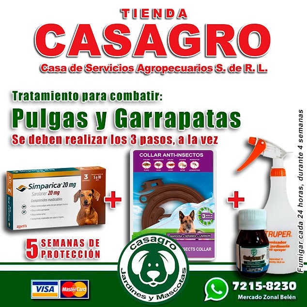 casagrohn's tweet photo. Si tú mascota tiene Pulgas ó Garrapatas en nuestra Tienda #CASAGRO tenemos el tratamiento para combatir la plaga. https://t.co/GpqQqAyc6v