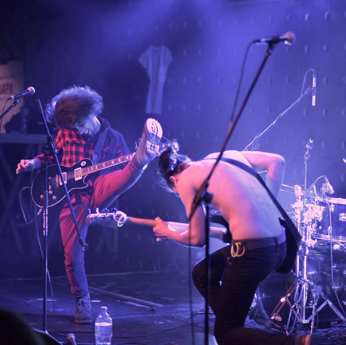 Bow Beehive tweet media