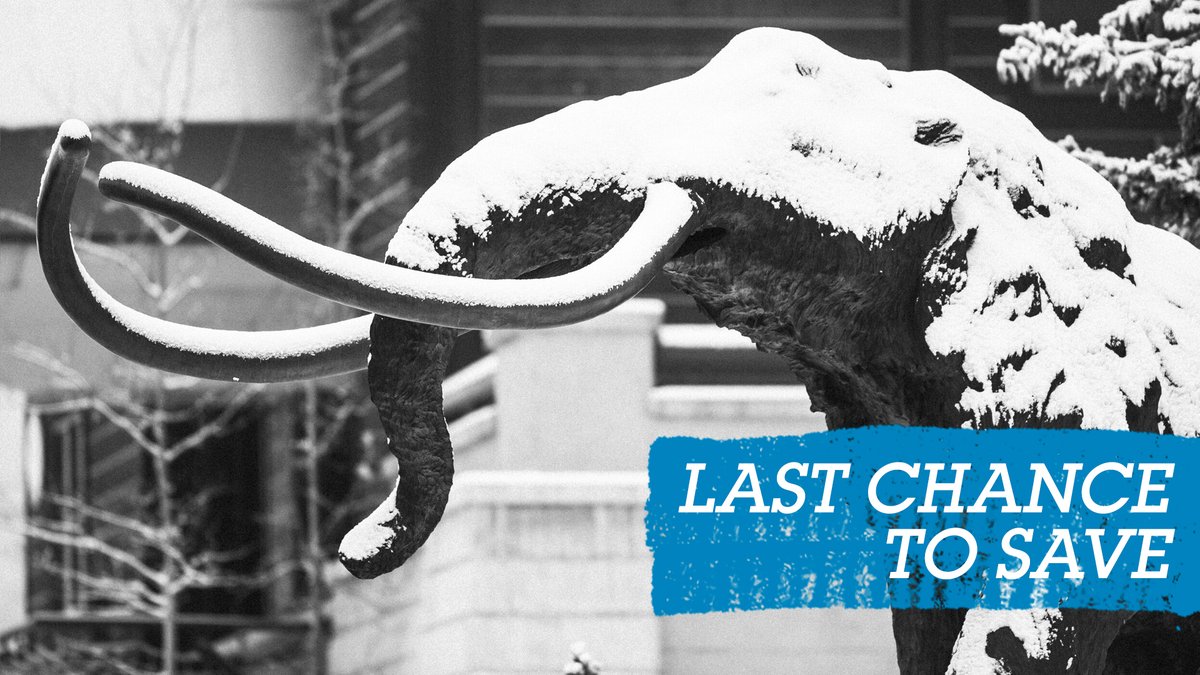 Today is the LAST CHANCE to save up to 40% on an adult 2-day lift ticket. With a much larger storm on the horizon later this weekend, now is the time to lock in the lowest price. Buy now for $199: mammothmountain.com/winter/plan-a-…