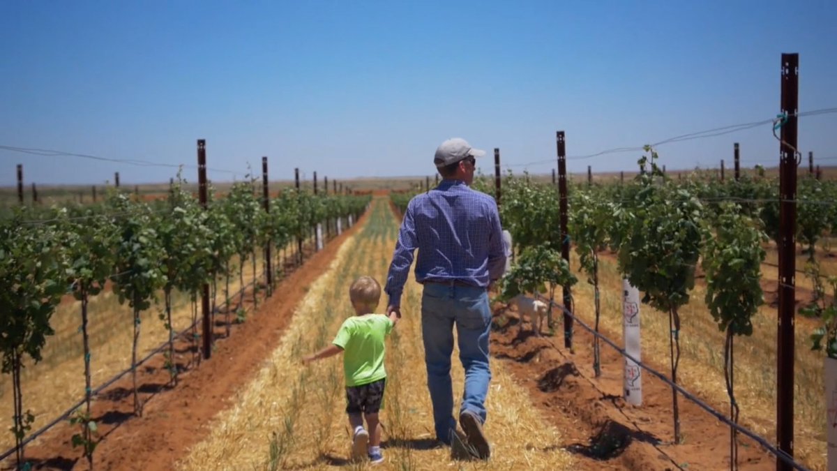 USagricultureUK's tweet photo. Texas ranks #1 for 🇺🇸 #cotton. It’s also home to the Warrens, a 3rd generation farm family. A lot has changed in the 95 yrs they've been farming &amp; today #precisionag helps them care for the 🌎 &amp; save 🚿. @trustuscotton shares their story: https://t.co/SwN0H1ZaVw
#USDAInnovation https://t.co/cDvgxC0Cc0