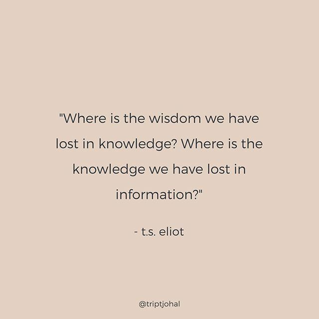 Tript Johal tweet media