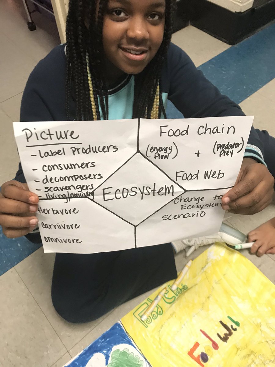 MrPatrickHopper's tweet photo. @MESBlueDevils working hard learning about ecosystems! Good job Mrs Kight! #WeAreFamily #WeAreModel https://t.co/t0DVd948D7
