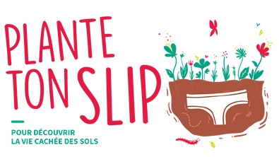 ademe's tweet photo. [#LeSaviezVous] 
4⃣0⃣% des #sols cultivés dans le  monde 🌍 sont déjà dégradés à cause des activités humaines. 
➡️À l'occasion de l'opération #PlanteTonSlip, l'@ademe revient sur l'importance de la protection des sols.
(re)Découvrez le dossier @ademe 👉https://t.co/iVZJ4CP3Pt https://t.co/DwiIsDh2Fp