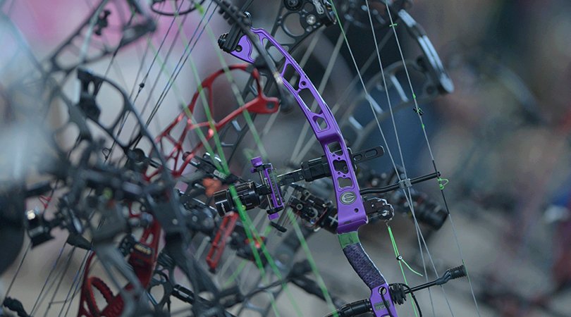 Something about that purple. 

📸 Competition Archery Media
#elitearchery #JOINTHEMOVEMENT #shootability #teamelite #targetarchery #competitionarchery #3darchery #indoorarchery
