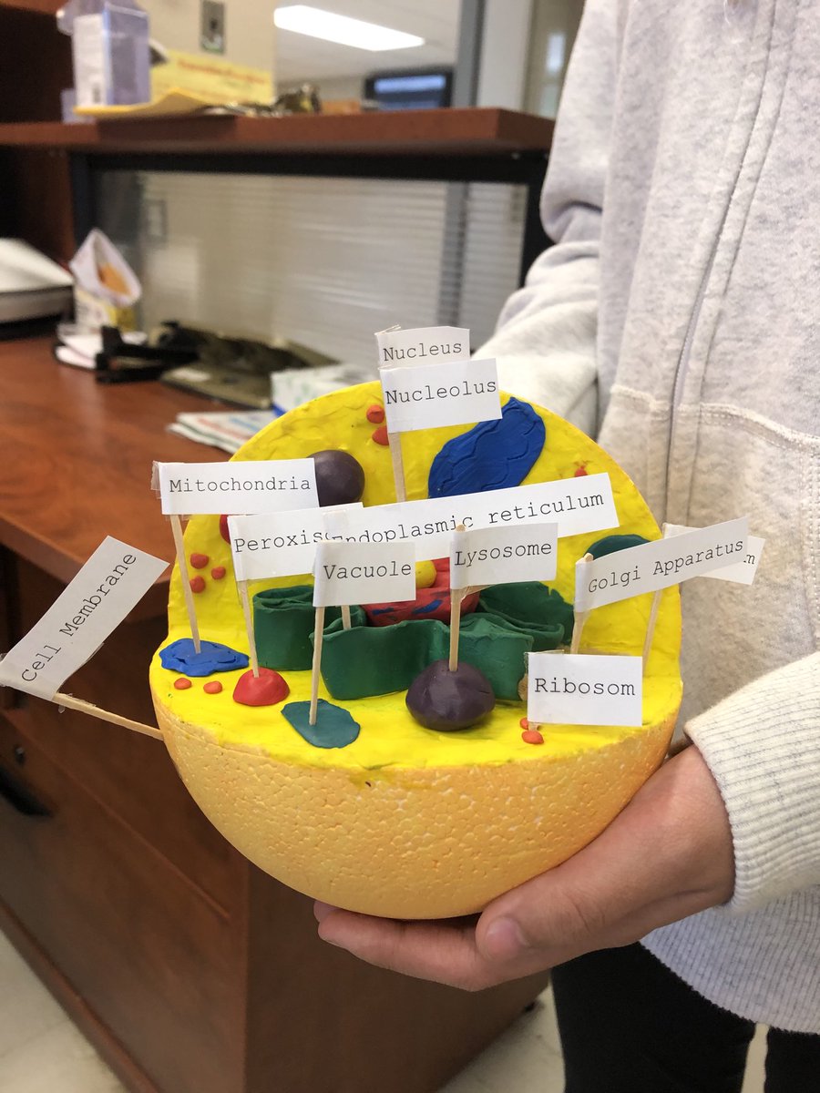 Pauline Johnson Elementary School on Twitter: Pauline Johnson Elementary School on Twitter: