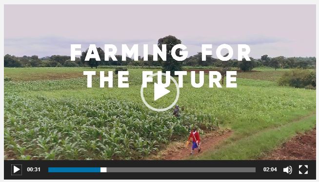 InizioEngageXD's tweet photo. Can't wait for our #documentary style advertorial for @corteva to air on @BBCWorld. Showing how smallholder farmers, supported by @USAID #FeedtheFuture, are at the heart of agricultural, economic and social change in #Tanzania 
https://t.co/lkGo6eUhPg https://t.co/gbZVU4lYTD