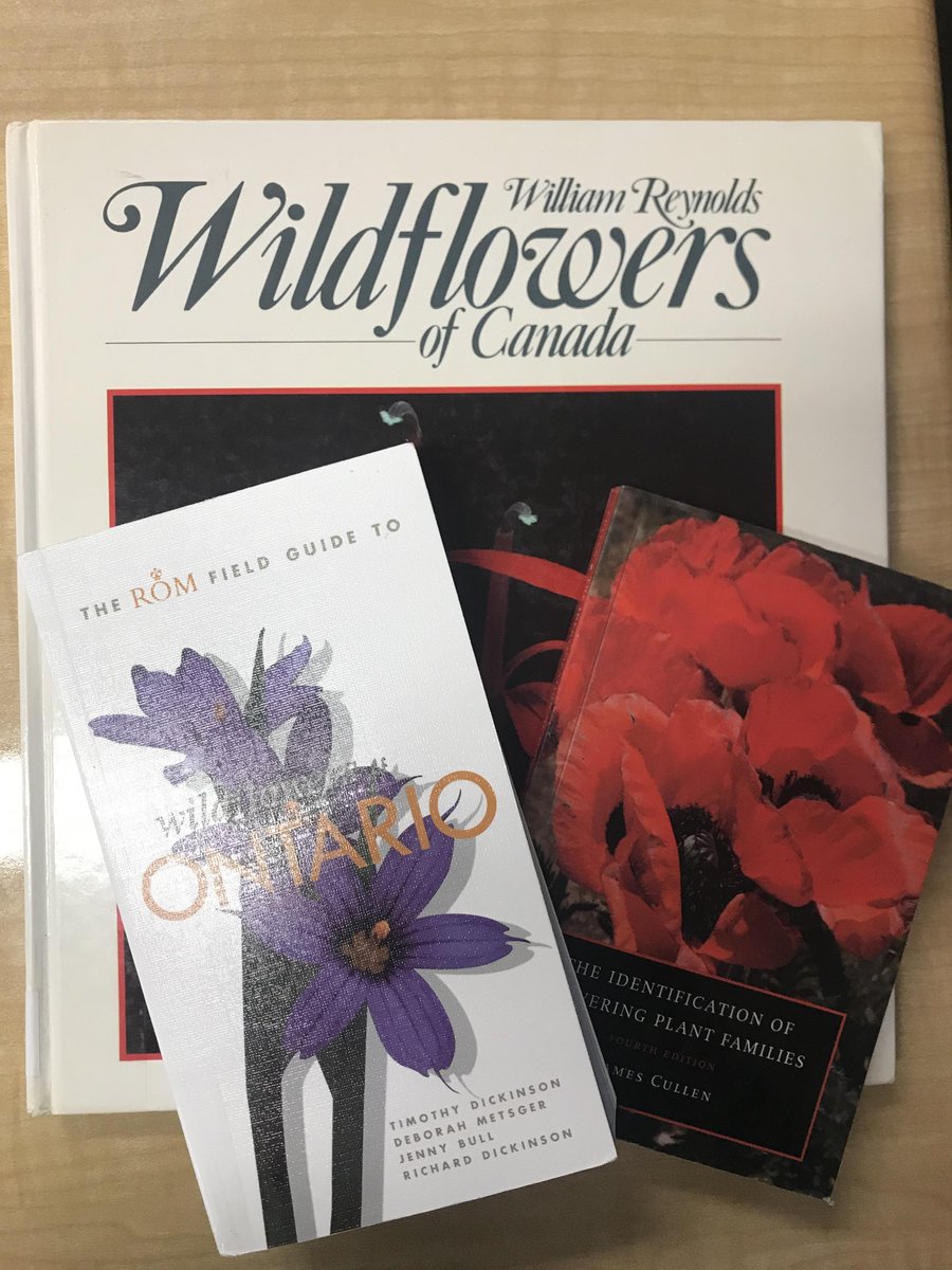 delazzarihsc's tweet photo. Bio students on a walk to our @HillStrath naturalization area. Choosing the best spot to plant their native wildflowers in late May. They have already started their indoor experiments in class. #pblcanada https://t.co/J69Fc1s1jF