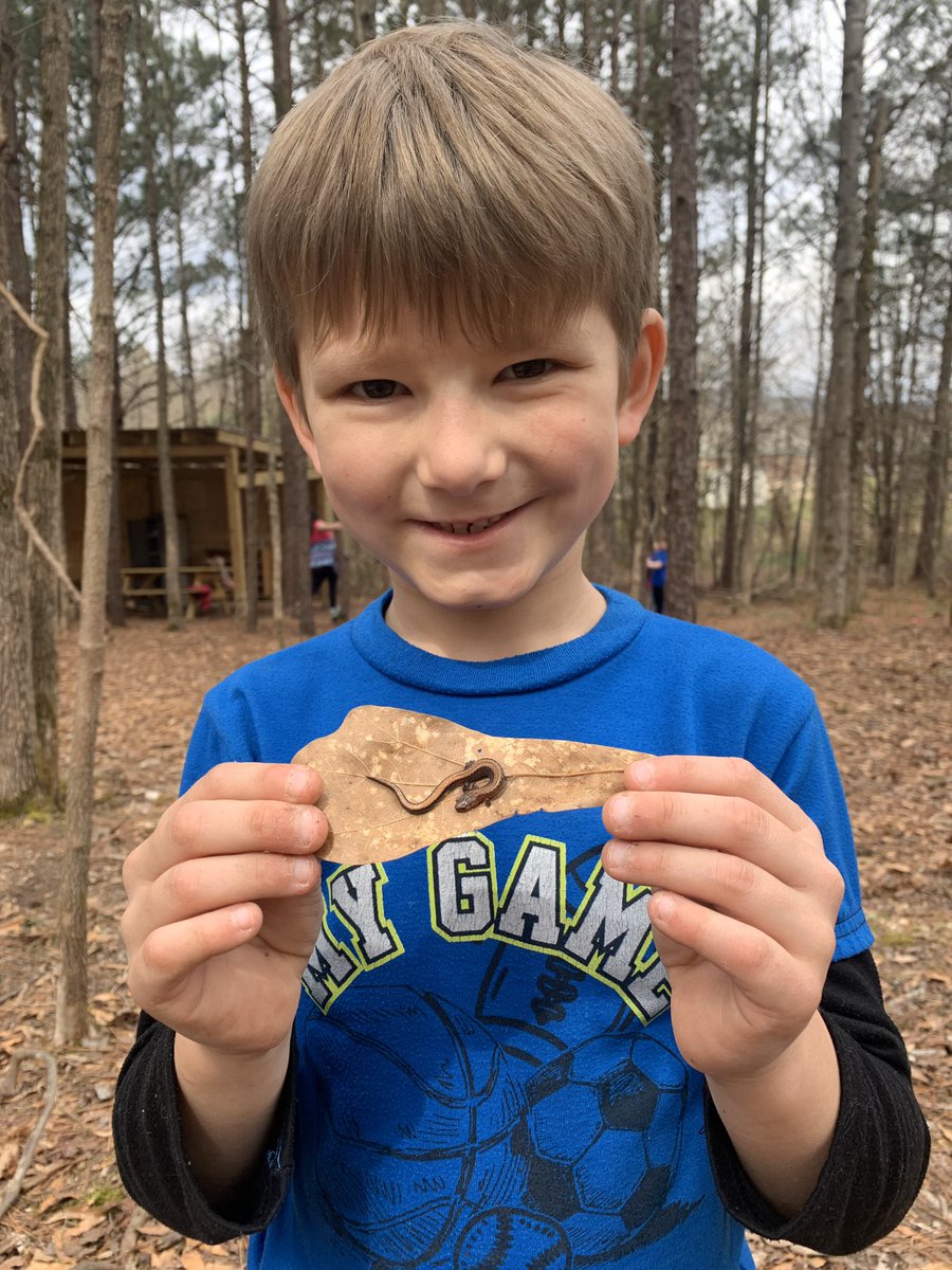 GilbertSTEMGES's tweet photo. Look what our #ForestFirst friends found during their exploration time today! #ForestFriends https://t.co/VnM2yG9CfW