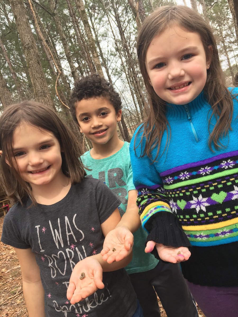 GilbertSTEMGES's tweet photo. Look what our #ForestFirst friends found during their exploration time today! #ForestFriends https://t.co/VnM2yG9CfW