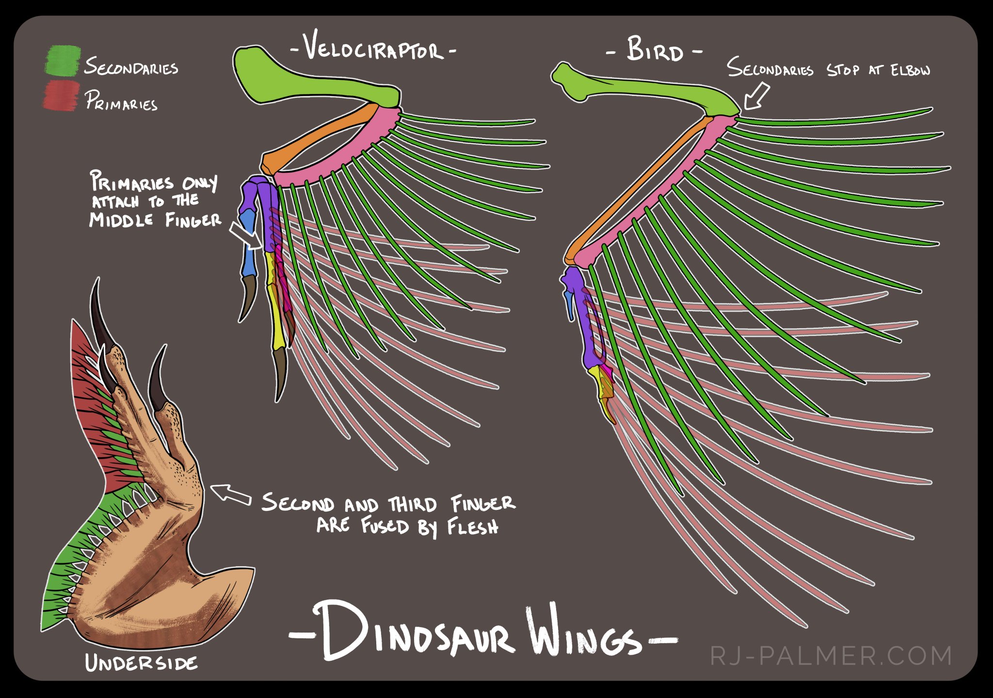 velociraptor with wings