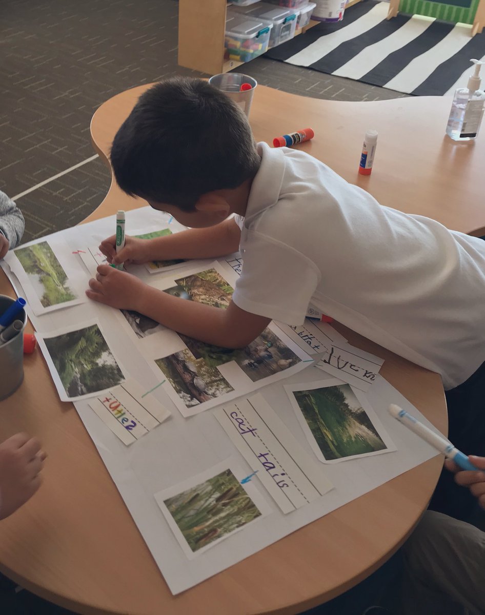 mrs_ricekinder's tweet photo. Sorting habitat photos, and making plant and animal labels for our first day as kindergarten biologists. #WCSInquiry https://t.co/QskE4D4Hai