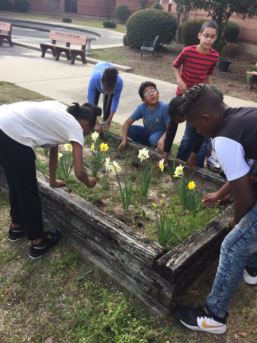 PontiacElem's tweet photo. 4th Graders with a green thumb! #handsonlearning! @PontiacElem @RichlandTwo https://t.co/EQs11iWTQ3