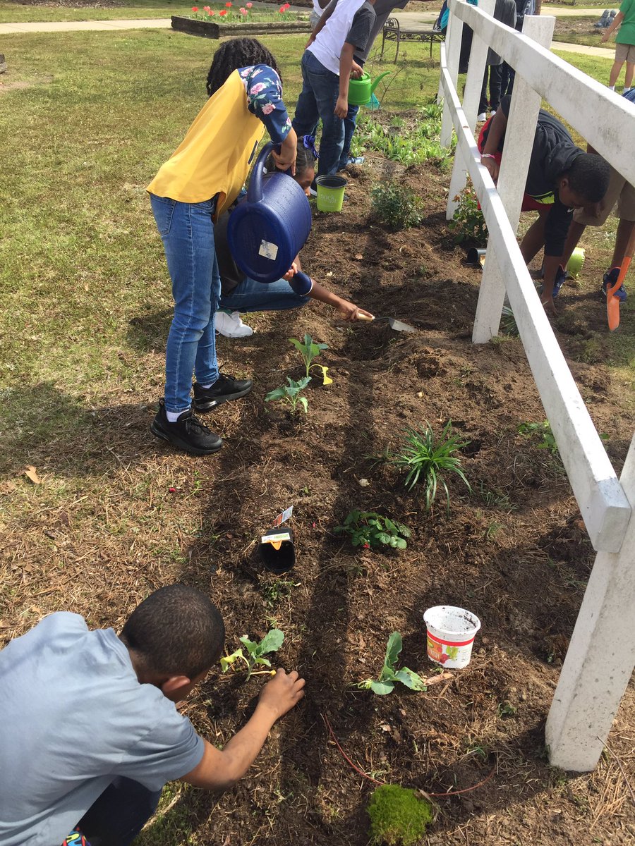 PontiacElem's tweet photo. 4th Graders with a green thumb! #handsonlearning! @PontiacElem @RichlandTwo https://t.co/EQs11iWTQ3