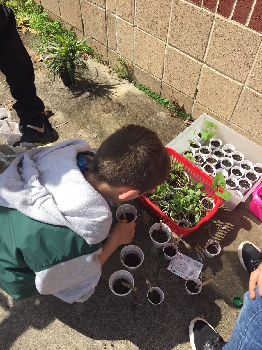 4th Graders with a green thumb! #handsonlearning! <a href="/PontiacElem/">Pontiac Elementary</a> <a href="/RichlandTwo/">Richland School District Two</a>