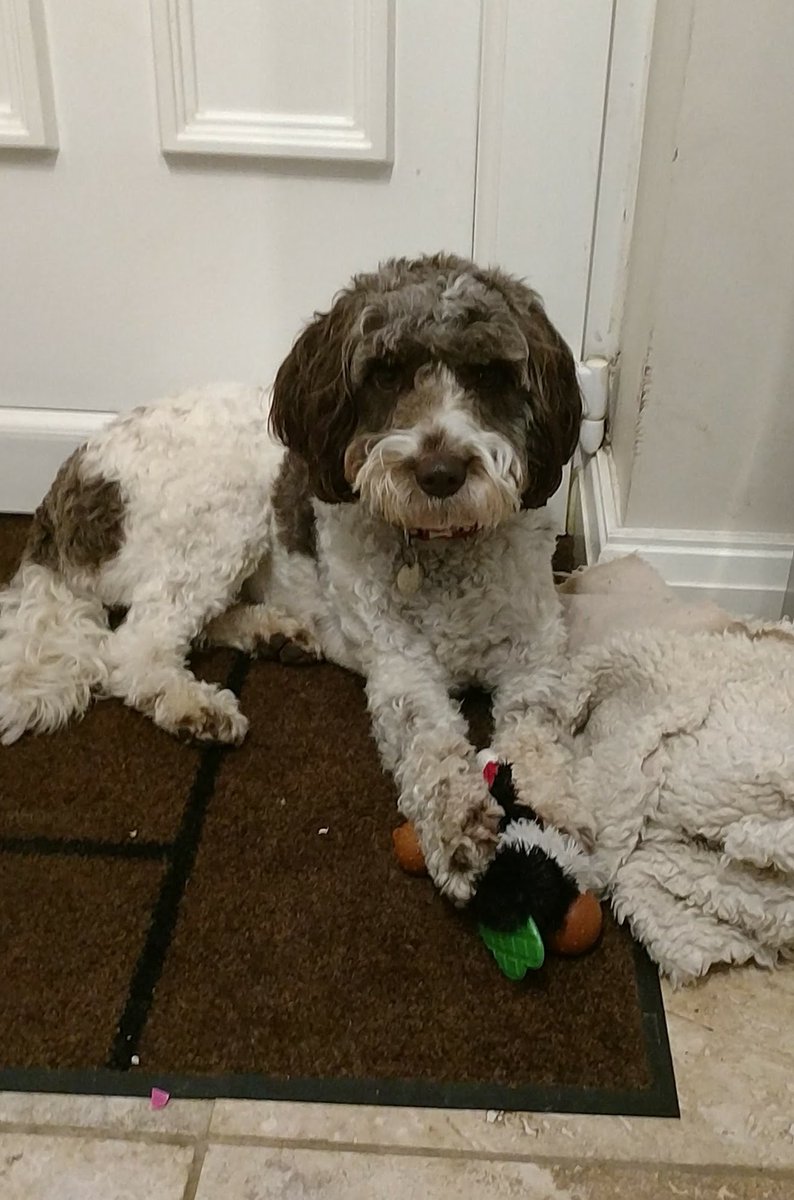 She's just waiting to run the world!