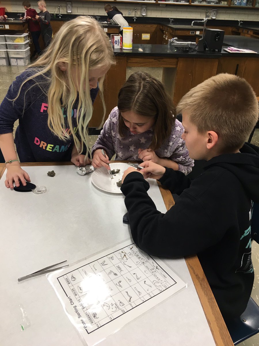 mrsstyrczula's tweet photo. Whoo’s Bones Program: digging through owl pellets to find its food!! #sciencerocks #itsnotpoop Thanks, @WillCoForests for this great opportunity!! https://t.co/VzFdxAPWd8