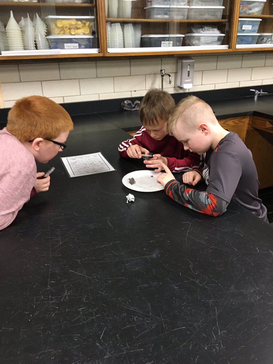 mrsstyrczula's tweet photo. Whoo’s Bones Program: digging through owl pellets to find its food!! #sciencerocks #itsnotpoop Thanks, @WillCoForests for this great opportunity!! https://t.co/VzFdxAPWd8