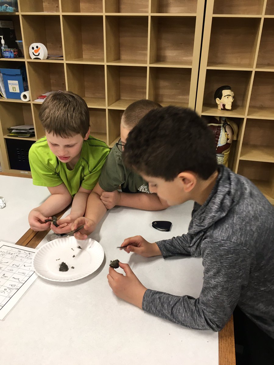 mrsstyrczula's tweet photo. Whoo’s Bones Program: digging through owl pellets to find its food!! #sciencerocks #itsnotpoop Thanks, @WillCoForests for this great opportunity!! https://t.co/VzFdxAPWd8