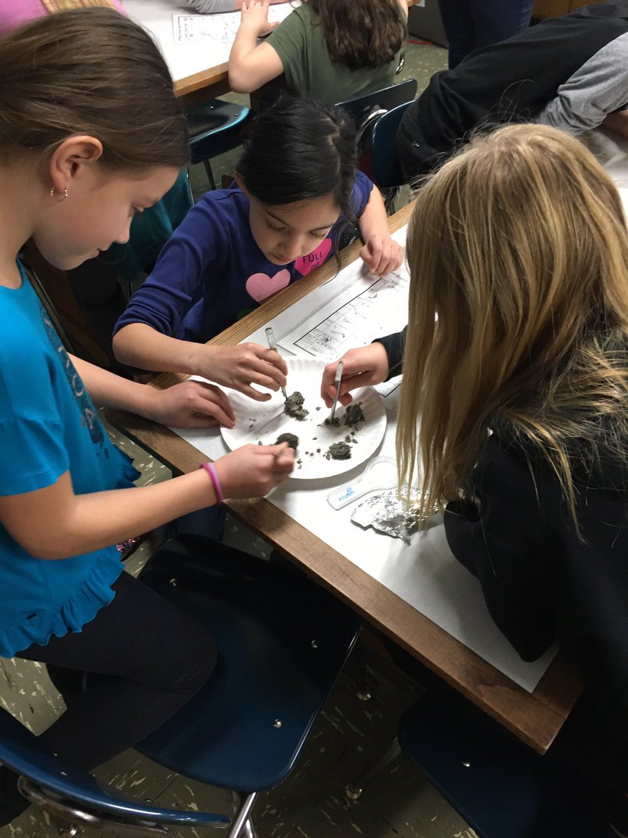mrsstyrczula's tweet photo. Whoo’s Bones Program: digging through owl pellets to find its food!! #sciencerocks #itsnotpoop Thanks, @WillCoForests for this great opportunity!! https://t.co/VzFdxAPWd8