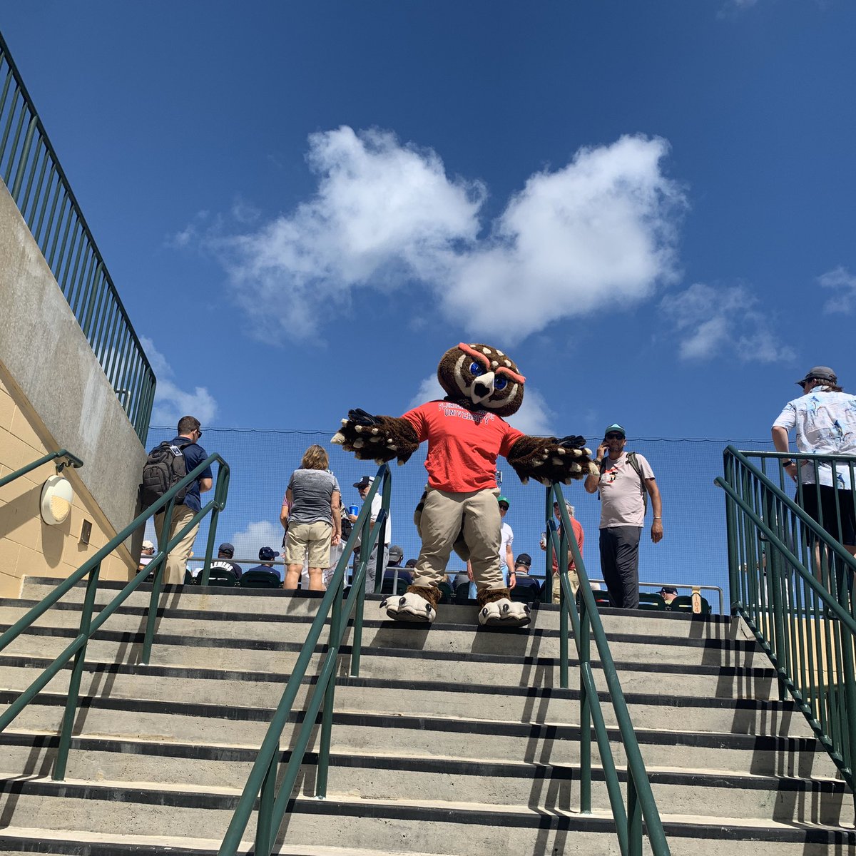 FAUJupiter's tweet photo. It’s #FAUDAY at @RDCstadium! @FAU_Owlsley did a great job throwing out the first pitch! @FloridaAtlantic https://t.co/RZQdclFKTj