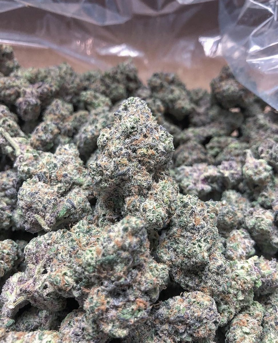 Mabeuh9's tweet photo. Pour plus d'informations ↙️🆕🌿🌷💯🍁🙄
💌Snap/mabeuh_98
💌Wickr/mabeuh98
#Hyères #montauban #weedfr #weedforsale #weedparis #lovelyplace #birthdaydinner #deniske #ninhosdt #niska #teamninho #niskaofficiel #teamniska #post #france #flipagram #flipagrams  #flipagramm #flipagrama https://t.co/OGZbKEO67Q