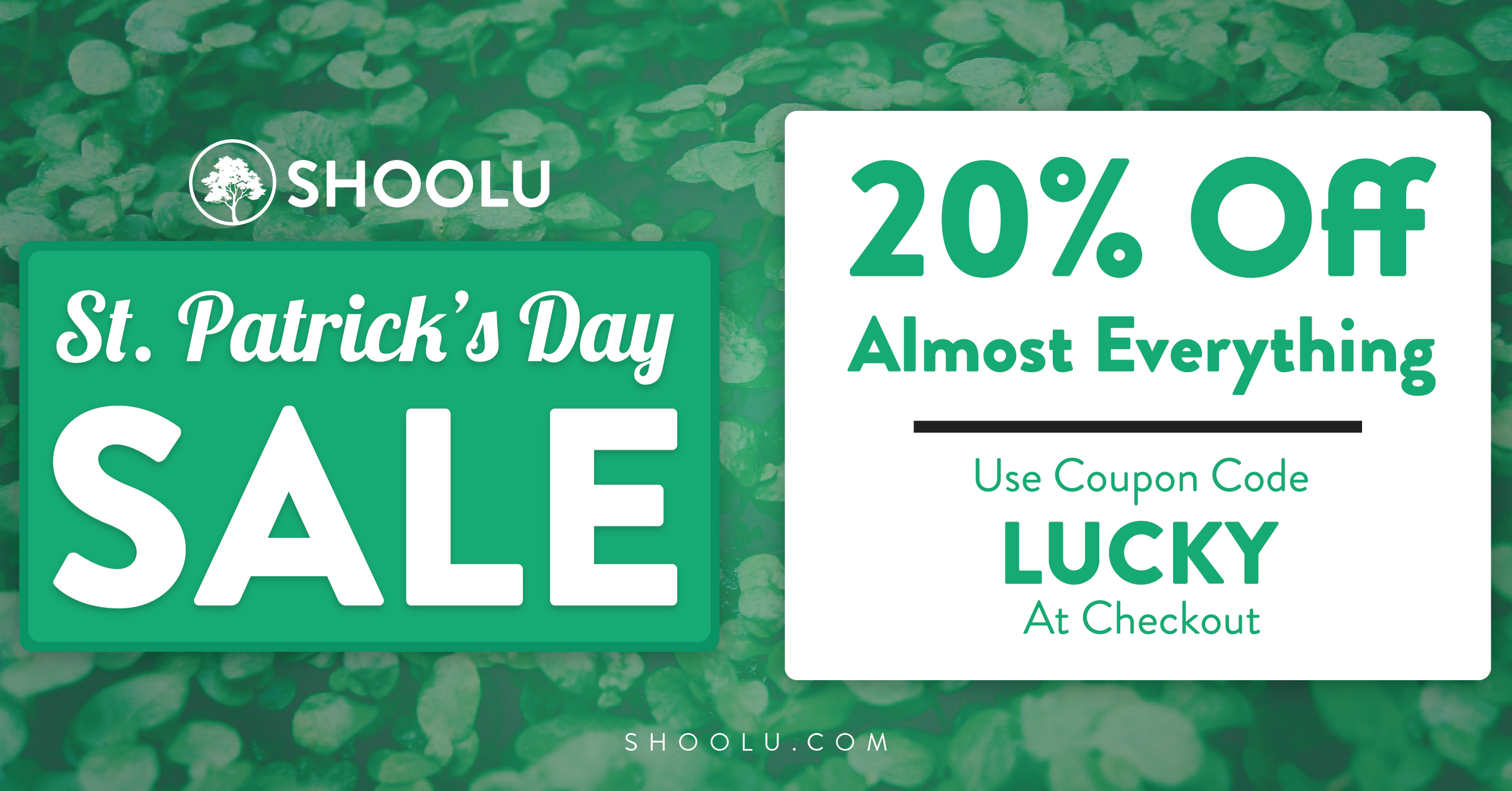 Lucky shoes coupon sale